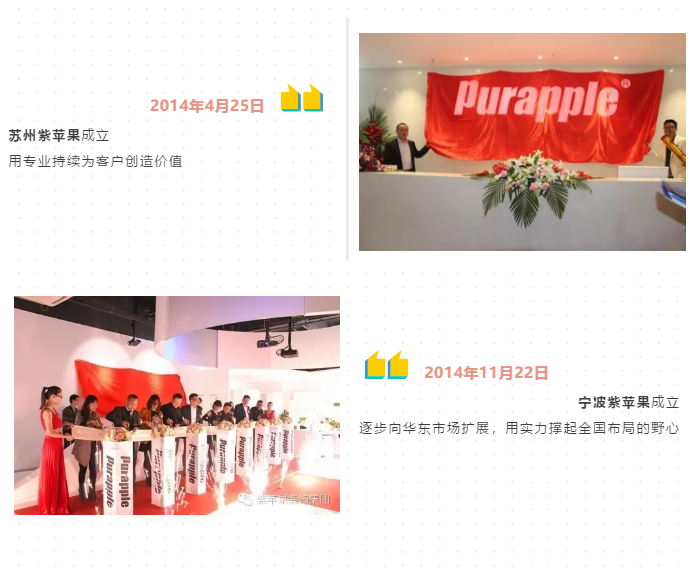 紫蘋果的18年 紫蘋果的18年